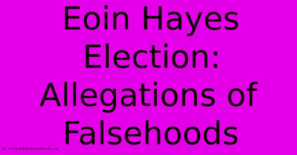 Eoin Hayes Election:  Allegations Of Falsehoods