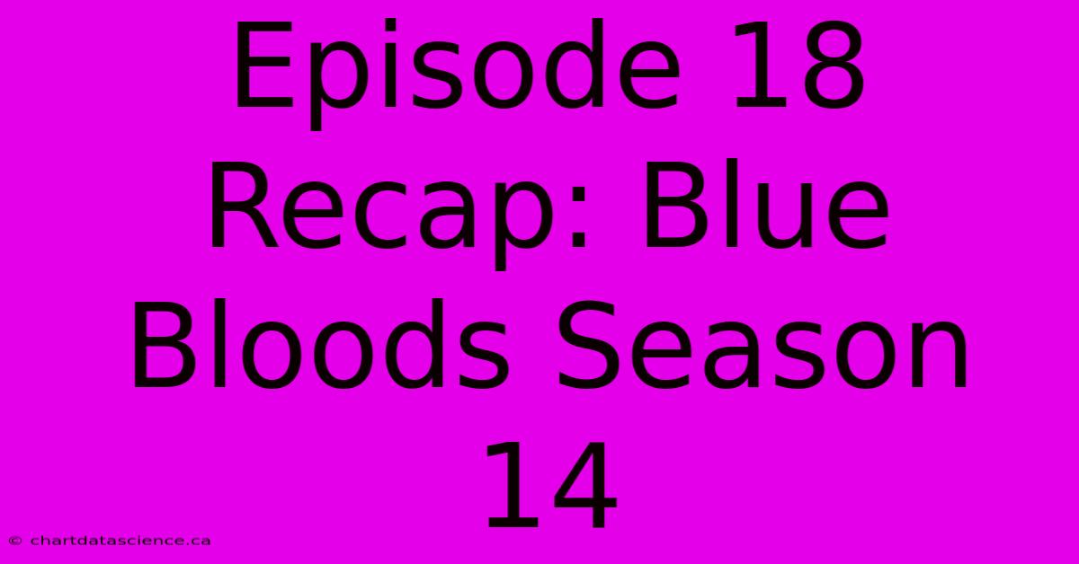 Episode 18 Recap: Blue Bloods Season 14