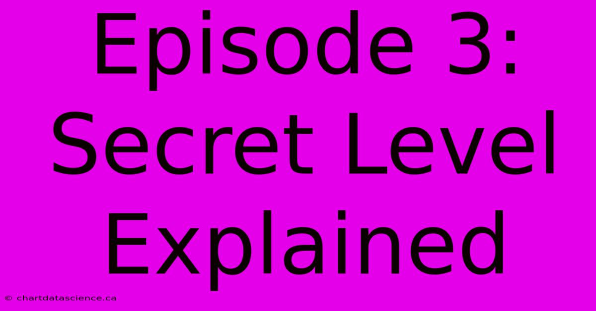 Episode 3: Secret Level Explained