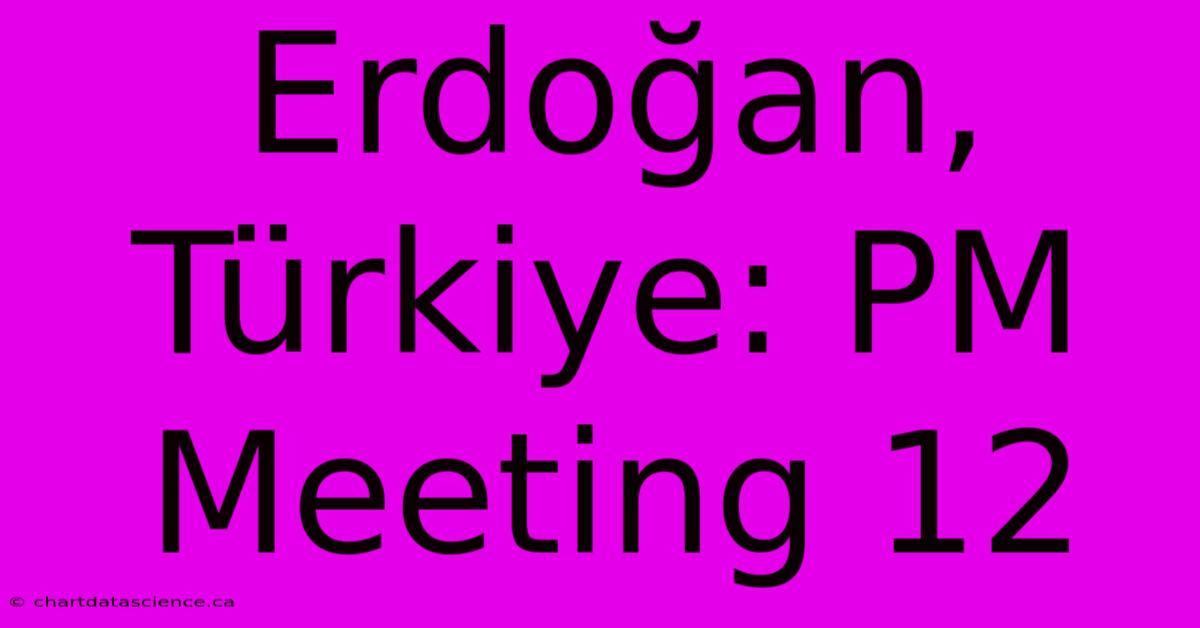 Erdoğan, Türkiye: PM Meeting 12