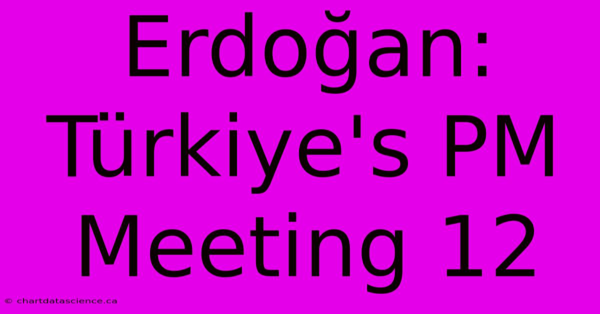 Erdoğan: Türkiye's PM Meeting 12 