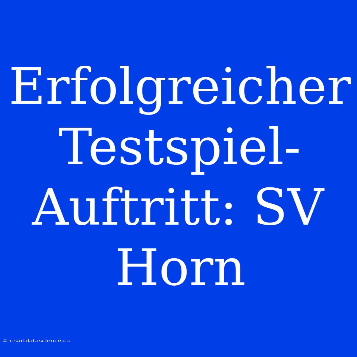 Erfolgreicher Testspiel-Auftritt: SV Horn