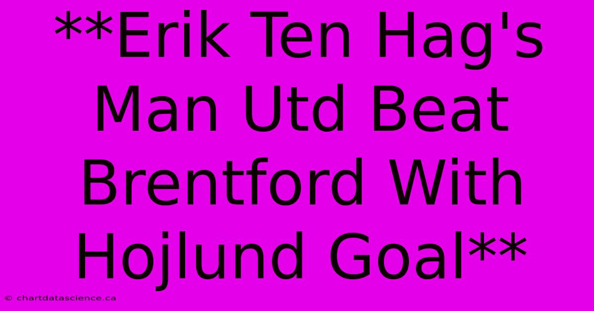 **Erik Ten Hag's Man Utd Beat Brentford With Hojlund Goal**