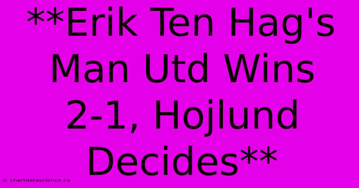 **Erik Ten Hag's Man Utd Wins 2-1, Hojlund Decides** 