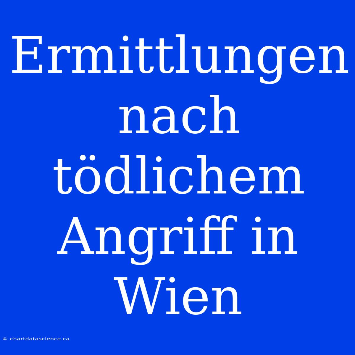 Ermittlungen Nach Tödlichem Angriff In Wien