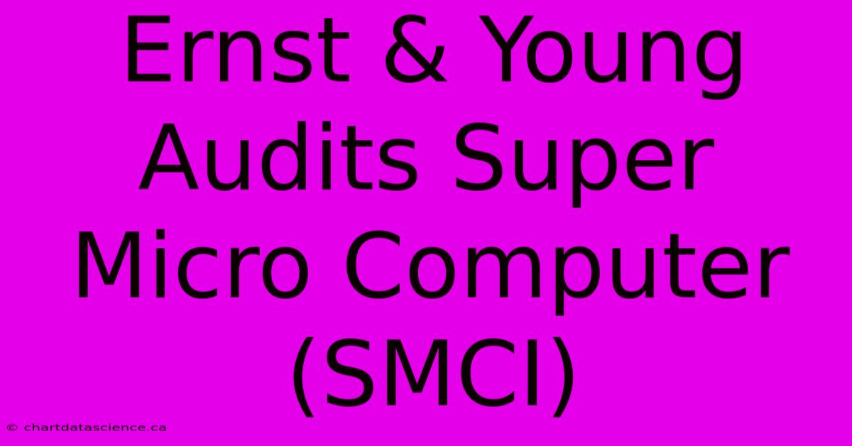 Ernst & Young Audits Super Micro Computer (SMCI)