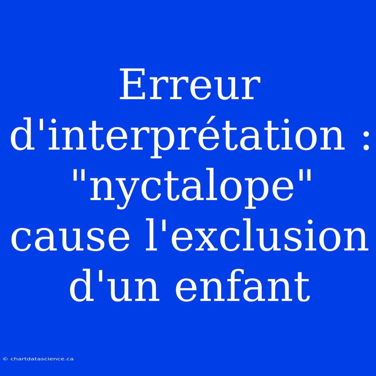 Erreur D'interprétation : 