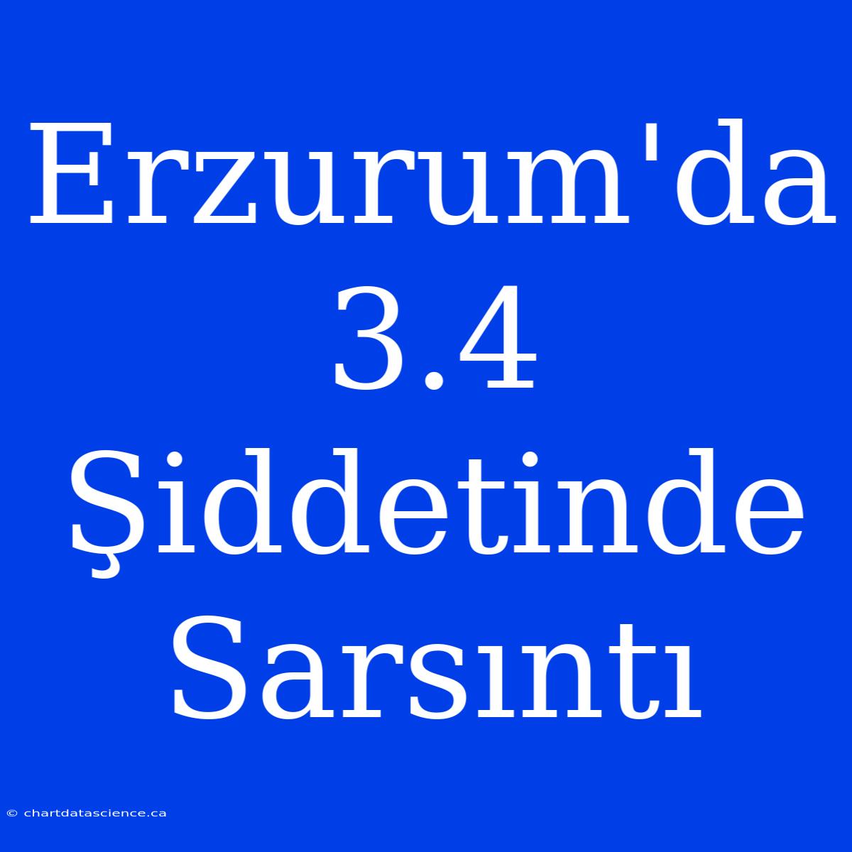 Erzurum'da 3.4 Şiddetinde Sarsıntı