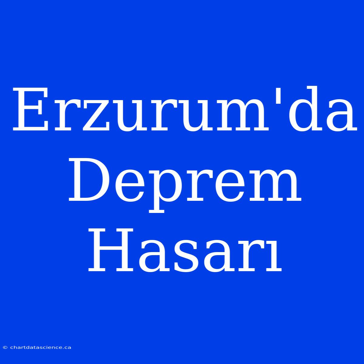 Erzurum'da Deprem Hasarı