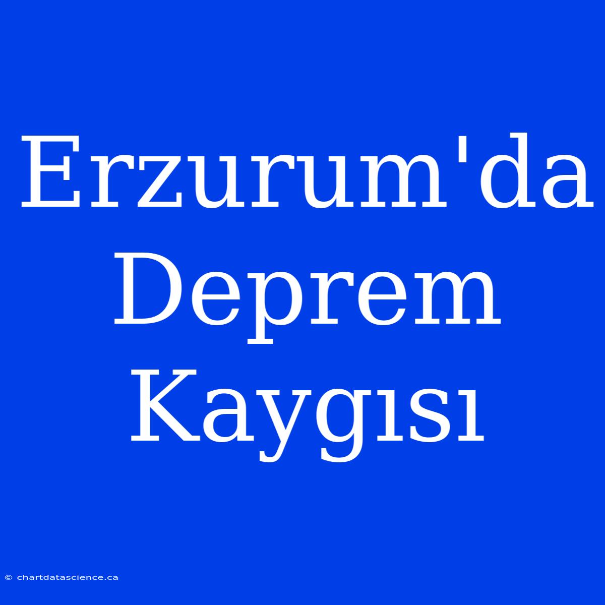 Erzurum'da Deprem Kaygısı