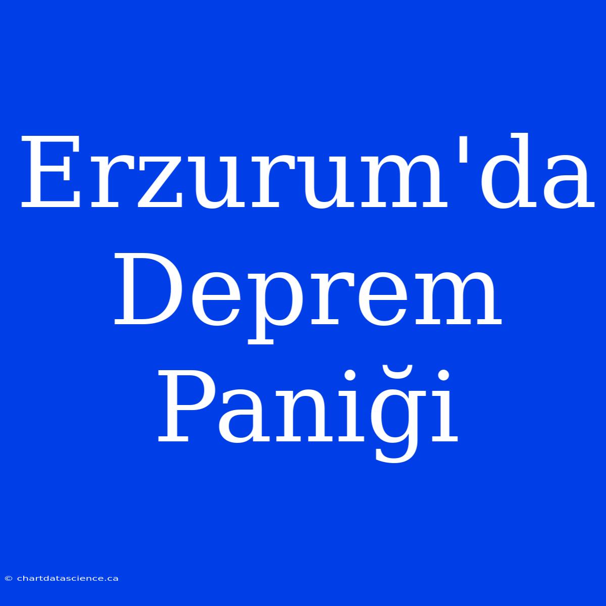 Erzurum'da Deprem Paniği