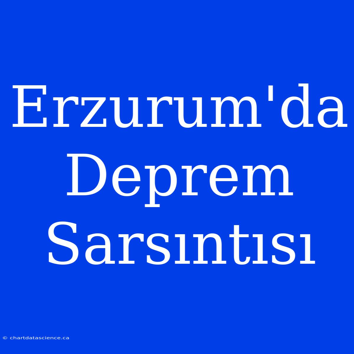 Erzurum'da Deprem Sarsıntısı