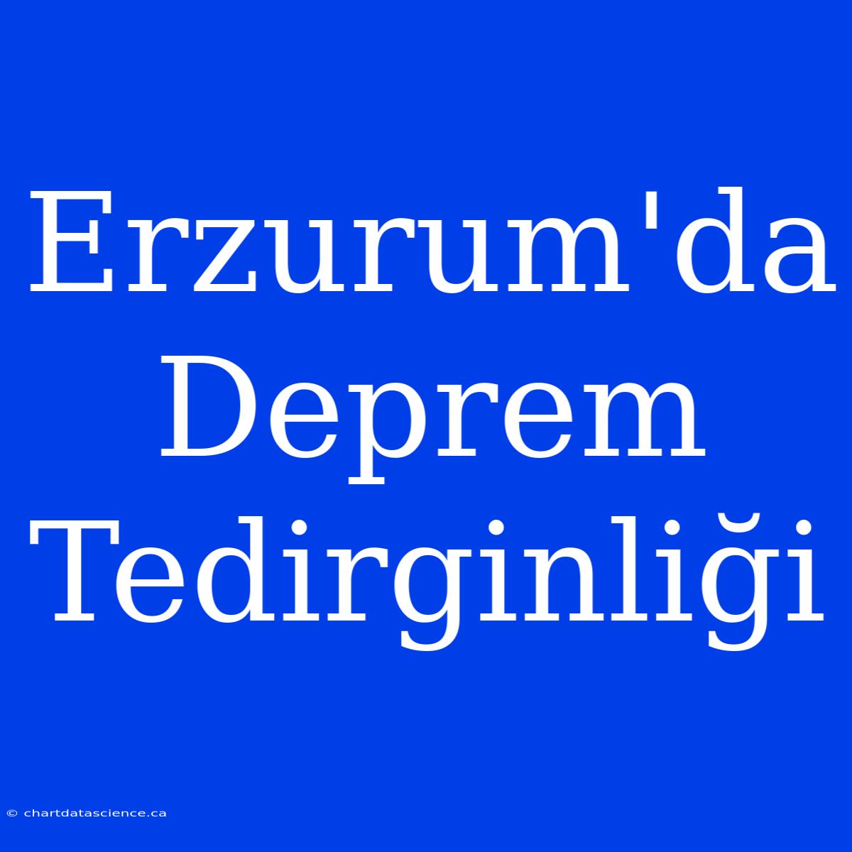 Erzurum'da Deprem Tedirginliği