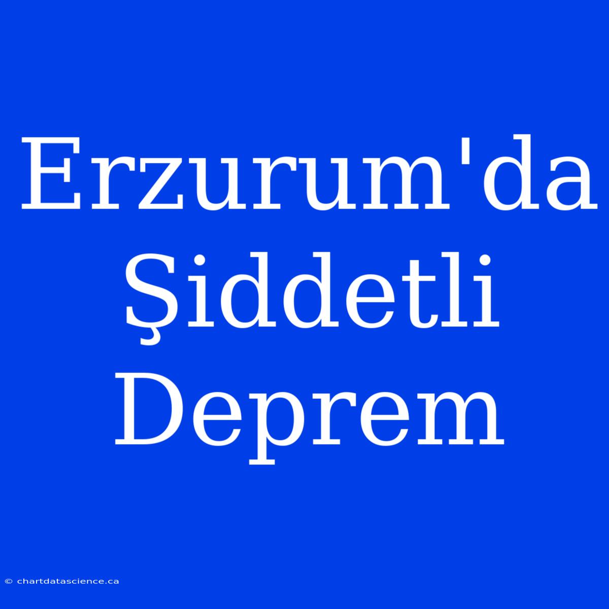 Erzurum'da Şiddetli Deprem