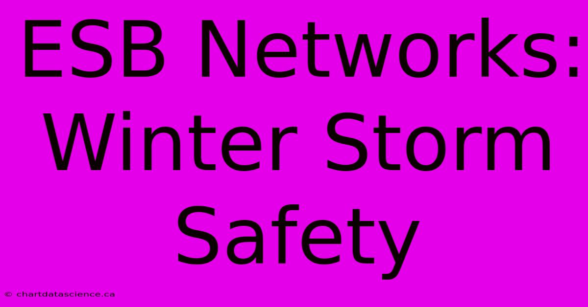 ESB Networks: Winter Storm Safety