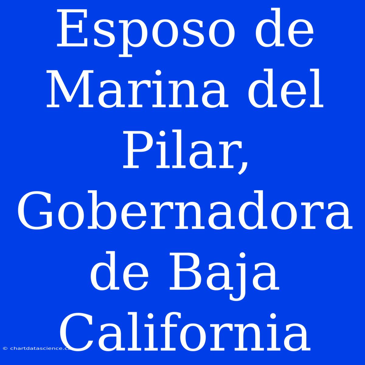 Esposo De Marina Del Pilar, Gobernadora De Baja California