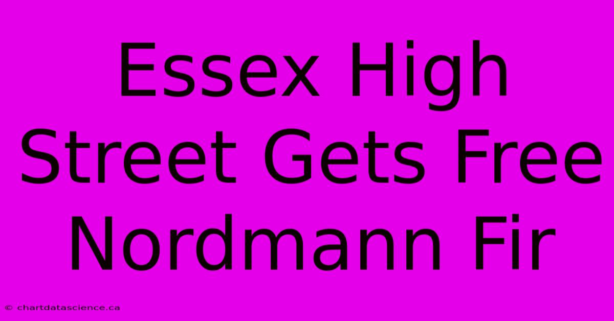 Essex High Street Gets Free Nordmann Fir