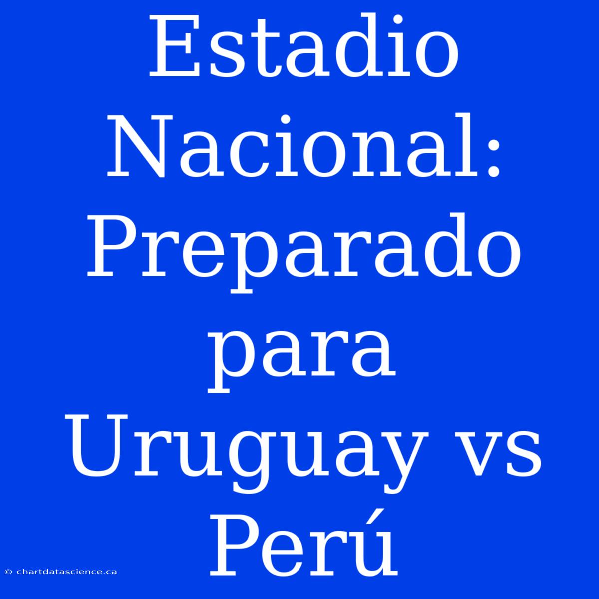 Estadio Nacional: Preparado Para Uruguay Vs Perú