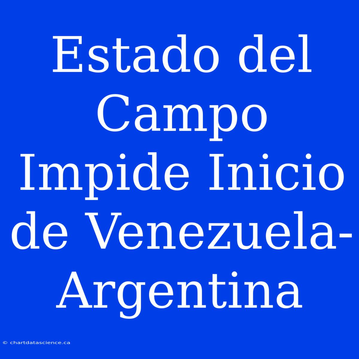 Estado Del Campo Impide Inicio De Venezuela-Argentina