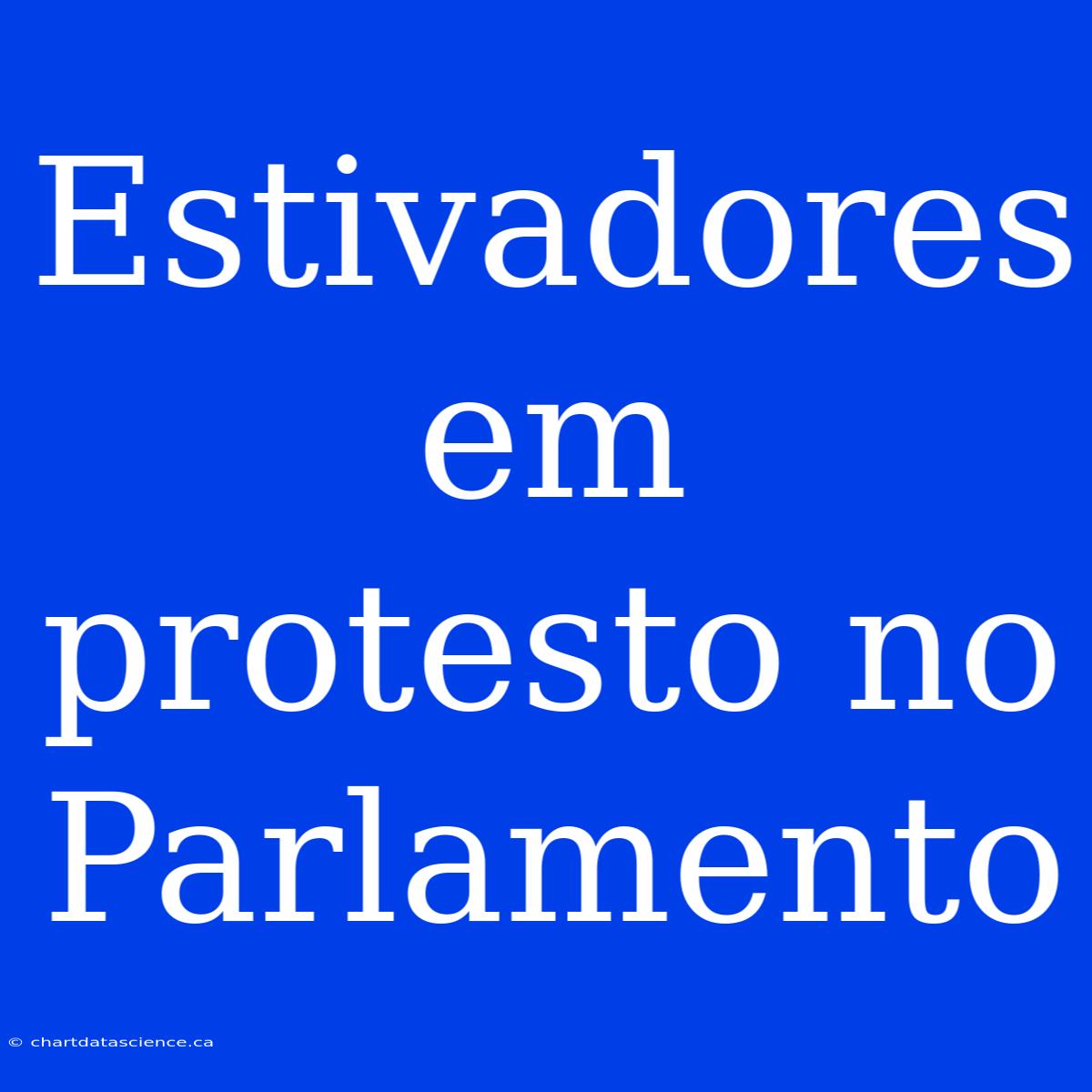 Estivadores Em Protesto No Parlamento