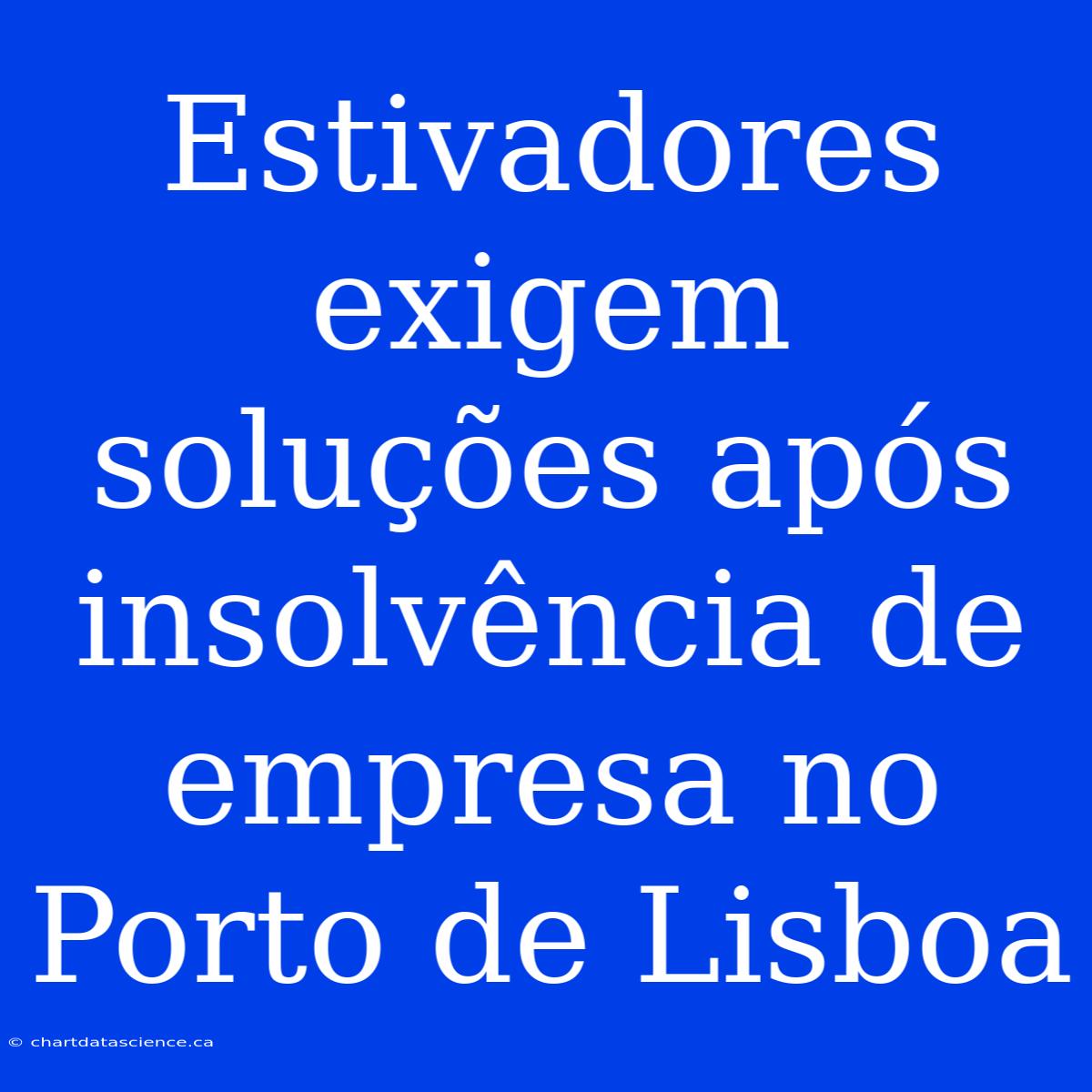 Estivadores Exigem Soluções Após Insolvência De Empresa No Porto De Lisboa