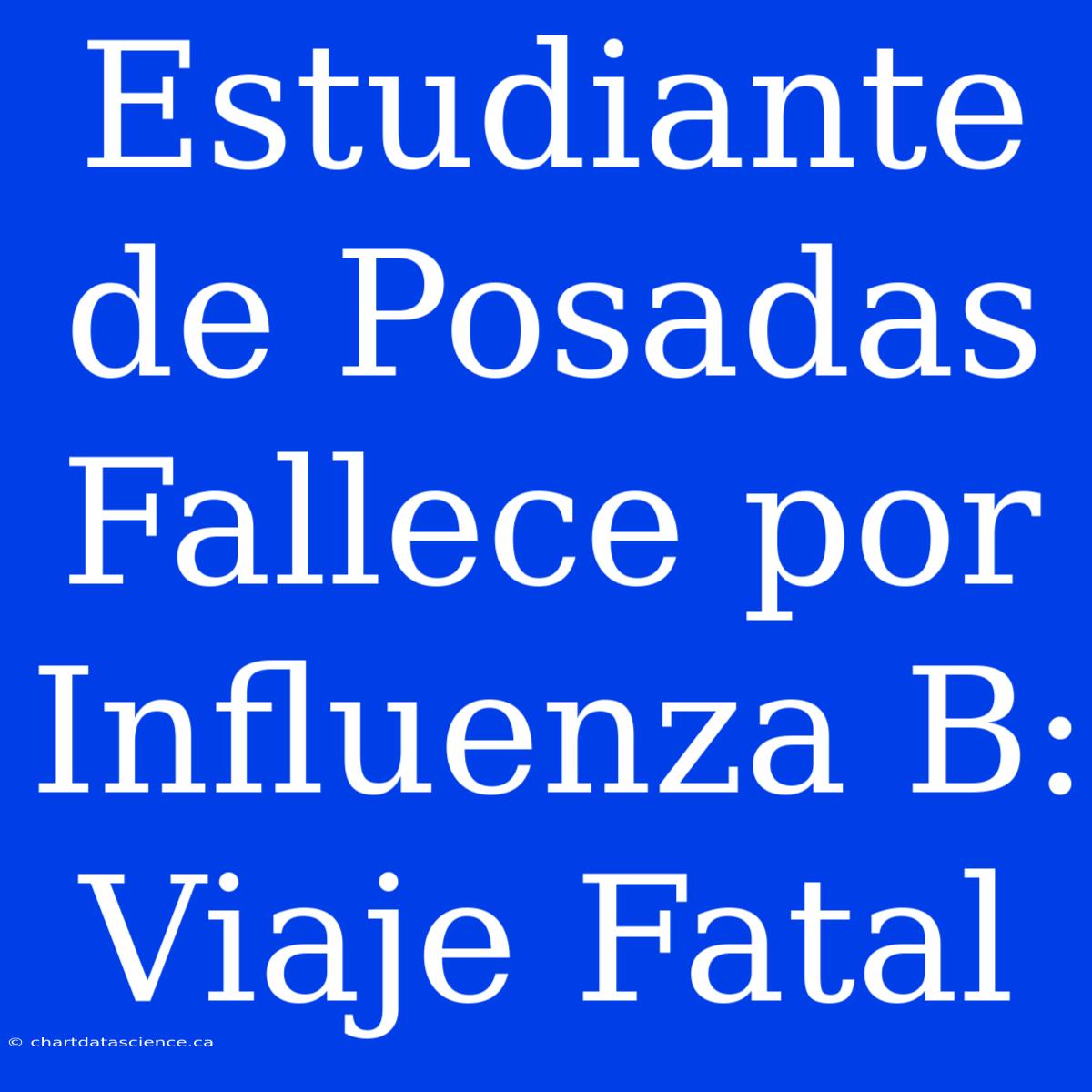 Estudiante De Posadas Fallece Por Influenza B: Viaje Fatal