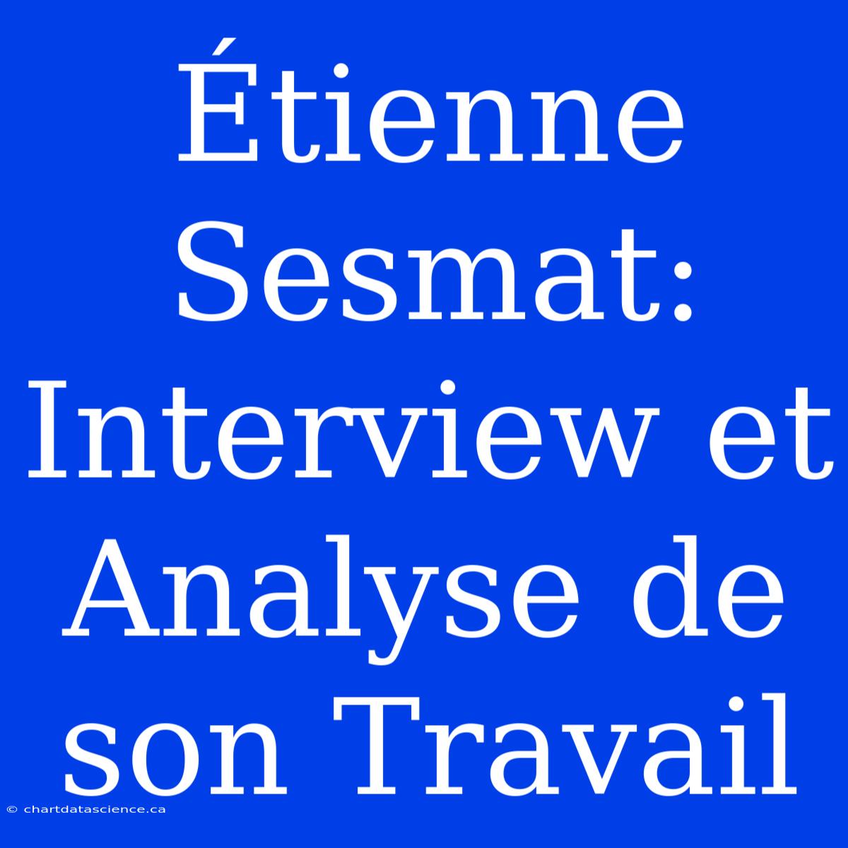 Étienne Sesmat: Interview Et Analyse De Son Travail