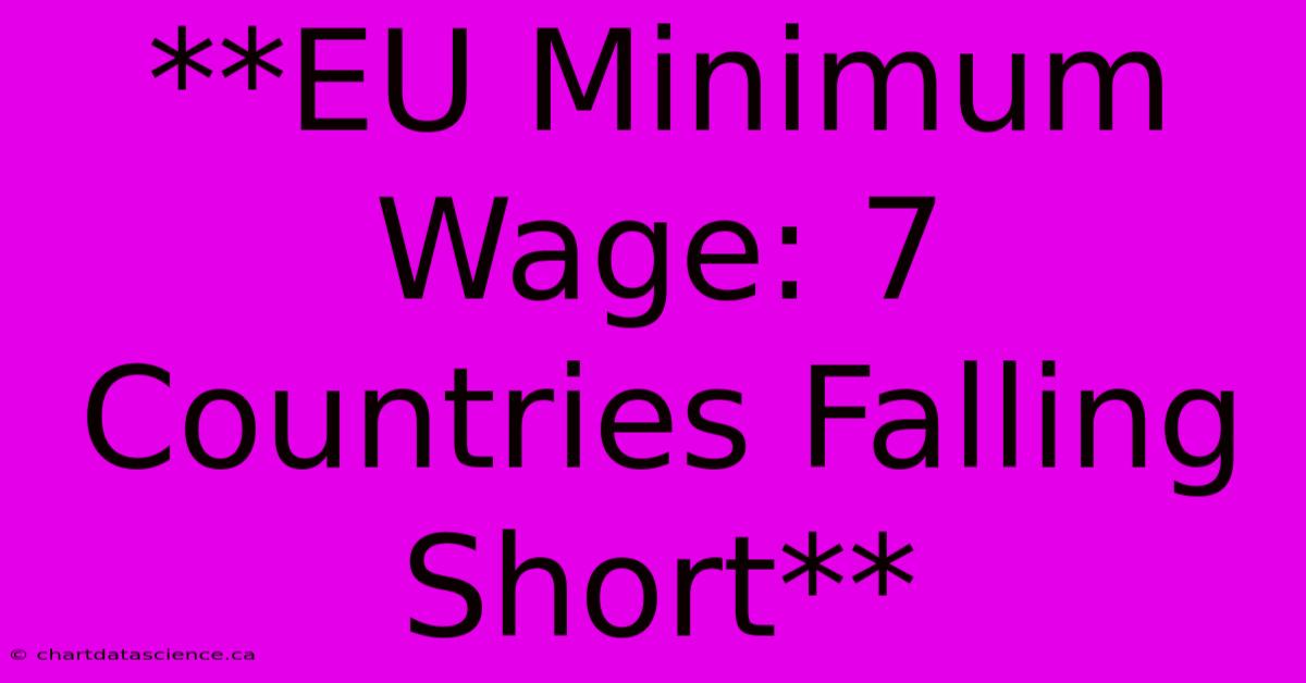 **EU Minimum Wage: 7 Countries Falling Short**