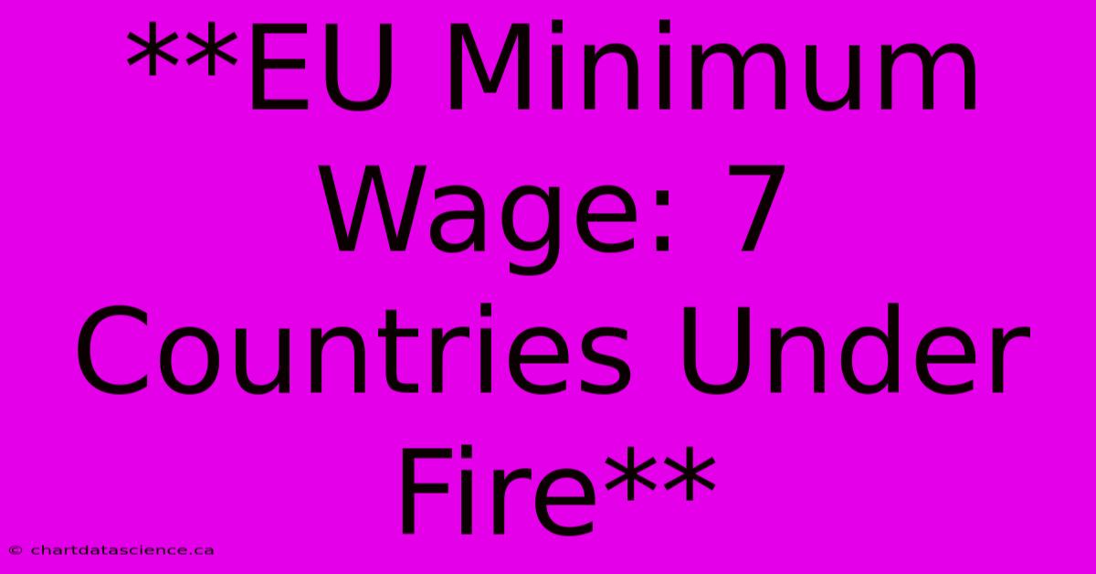 **EU Minimum Wage: 7 Countries Under Fire** 