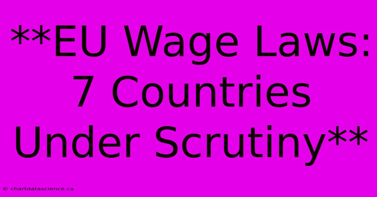 **EU Wage Laws: 7 Countries Under Scrutiny** 