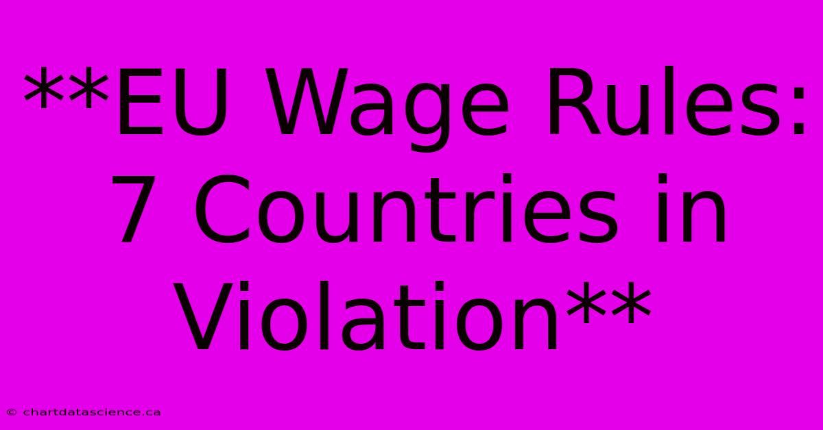 **EU Wage Rules: 7 Countries In Violation** 