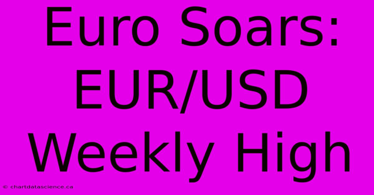 Euro Soars: EUR/USD Weekly High