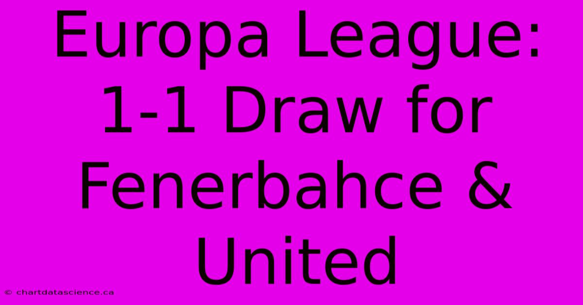 Europa League: 1-1 Draw For Fenerbahce & United