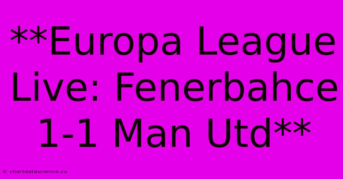 **Europa League Live: Fenerbahce 1-1 Man Utd**