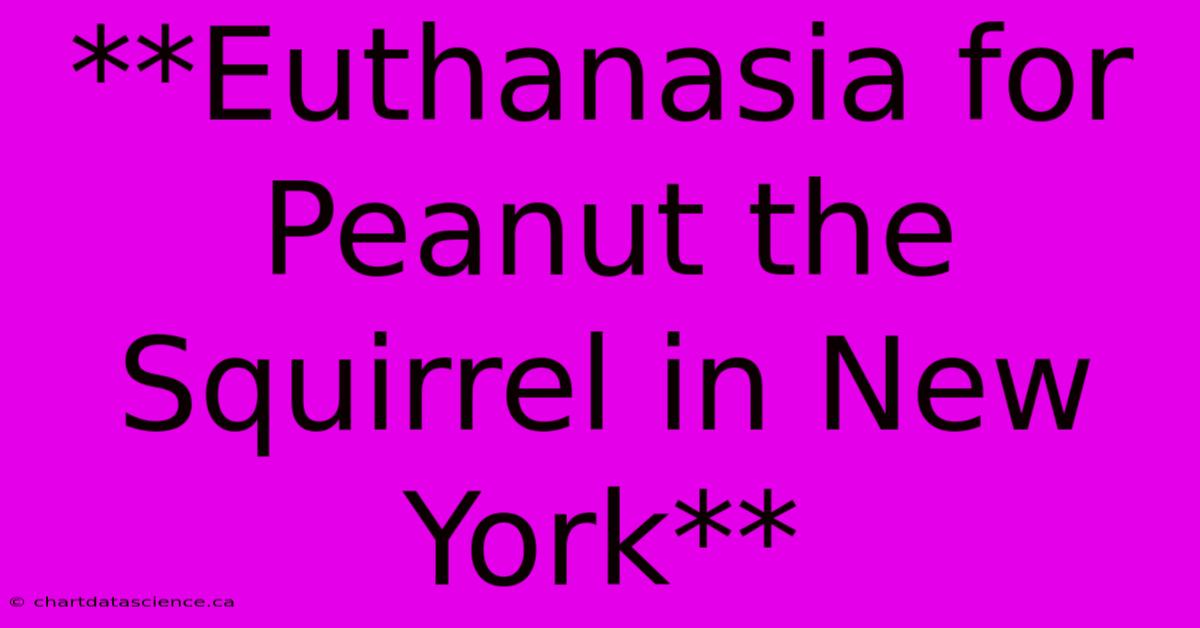 **Euthanasia For Peanut The Squirrel In New York** 