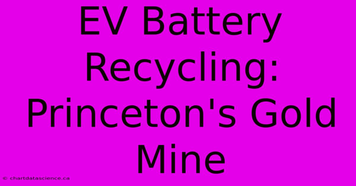 EV Battery Recycling: Princeton's Gold Mine