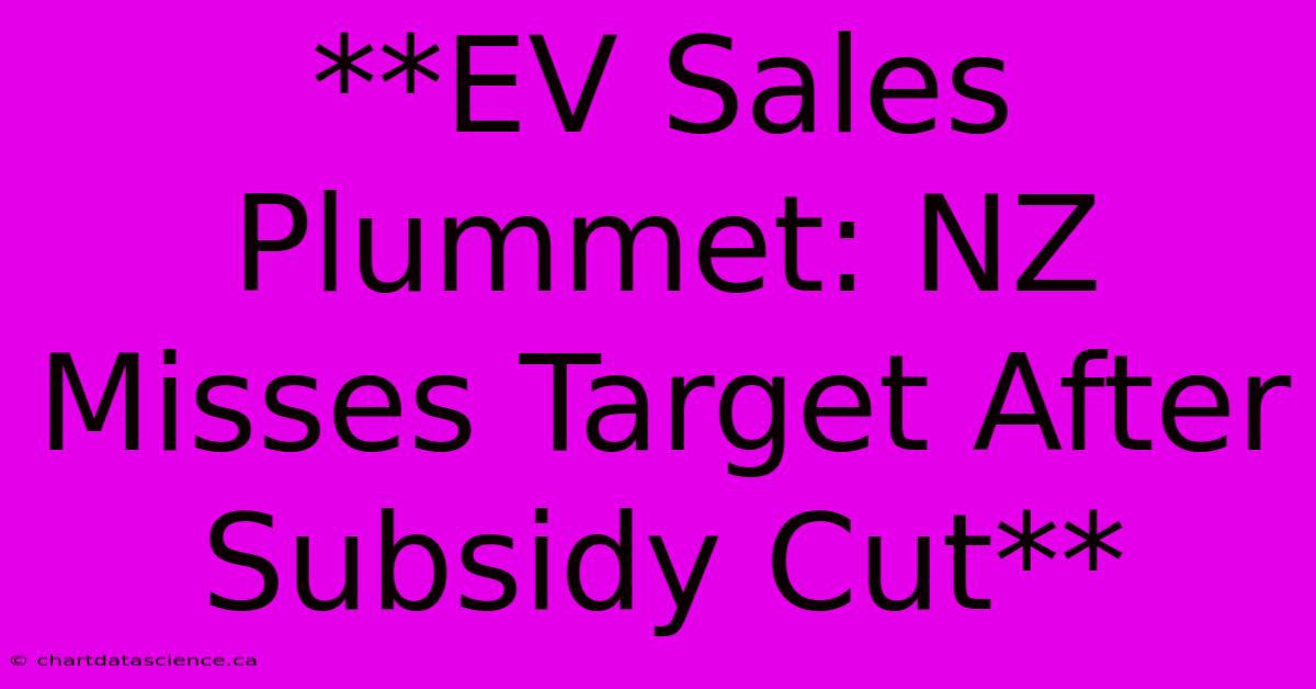 **EV Sales Plummet: NZ Misses Target After Subsidy Cut** 