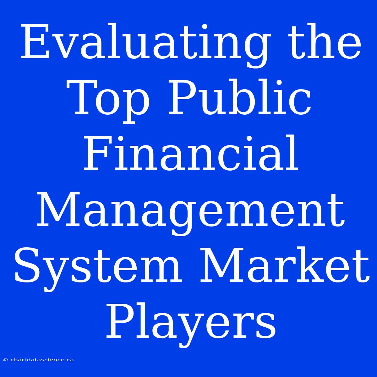 Evaluating The Top Public Financial Management System Market Players