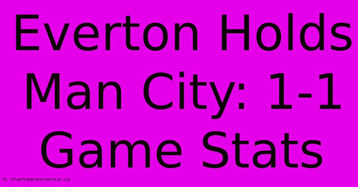 Everton Holds Man City: 1-1 Game Stats