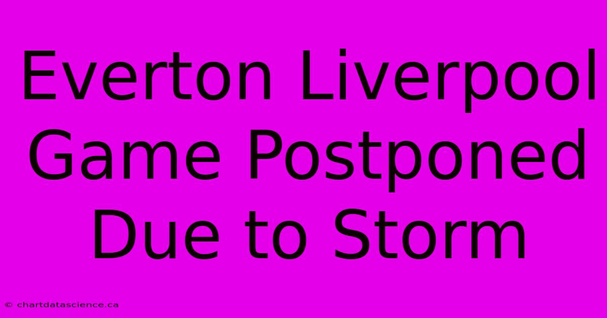 Everton Liverpool Game Postponed Due To Storm