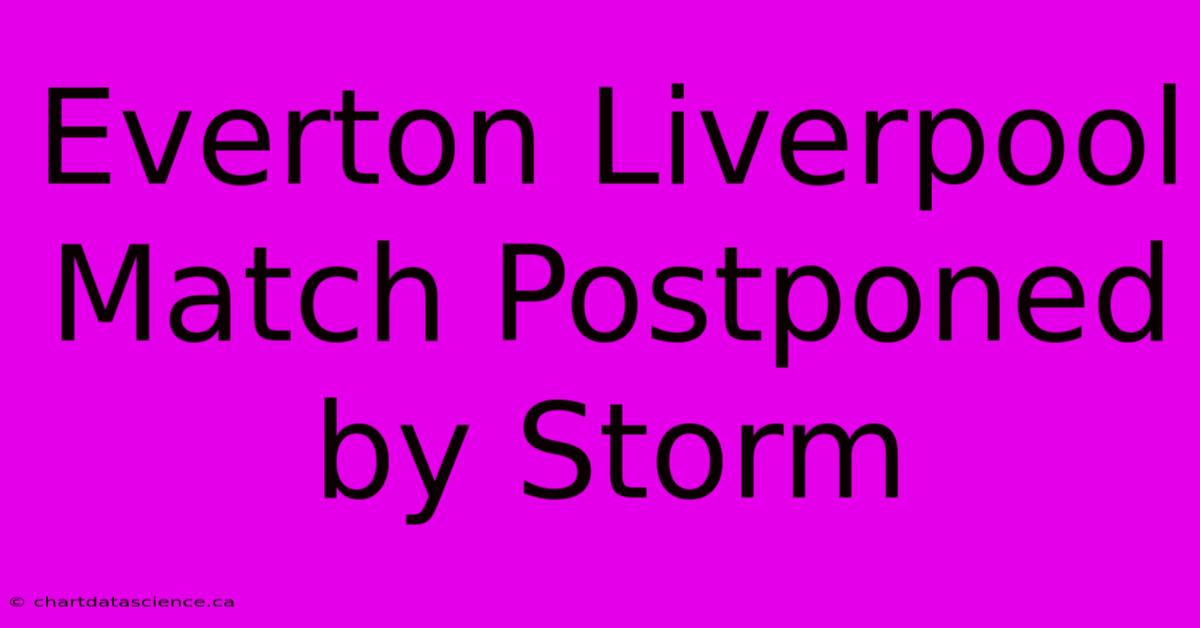 Everton Liverpool Match Postponed By Storm