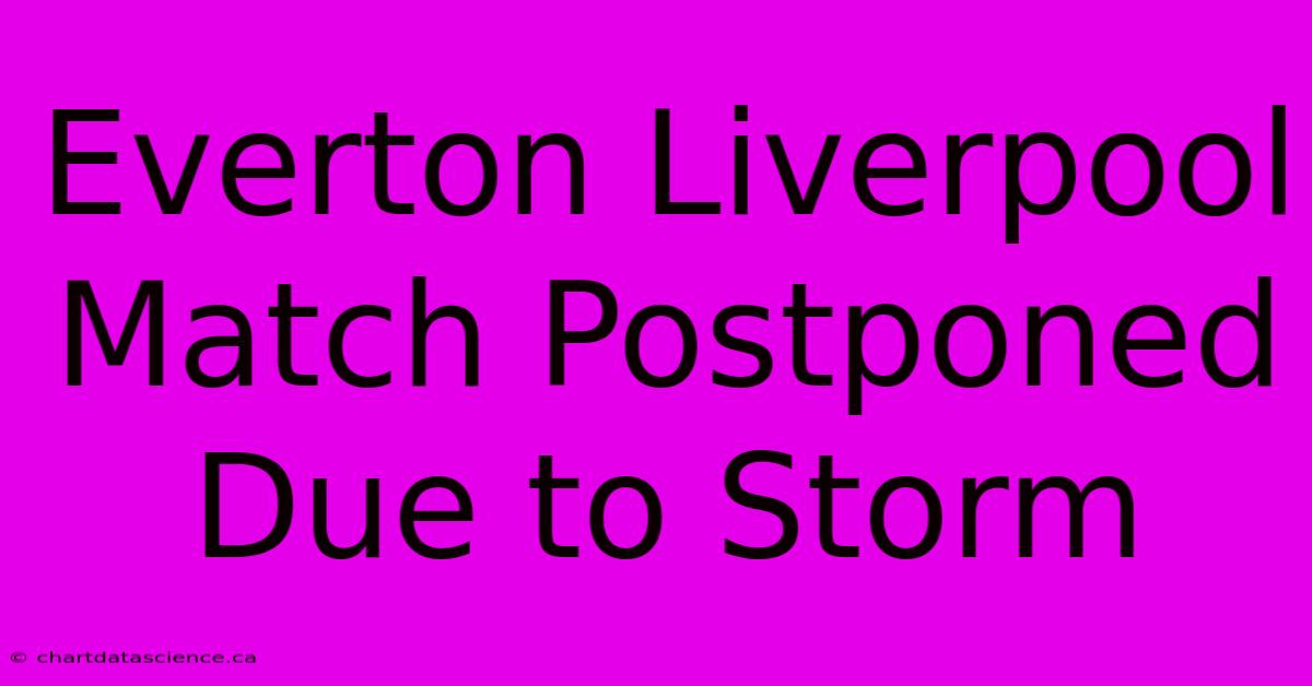 Everton Liverpool Match Postponed Due To Storm