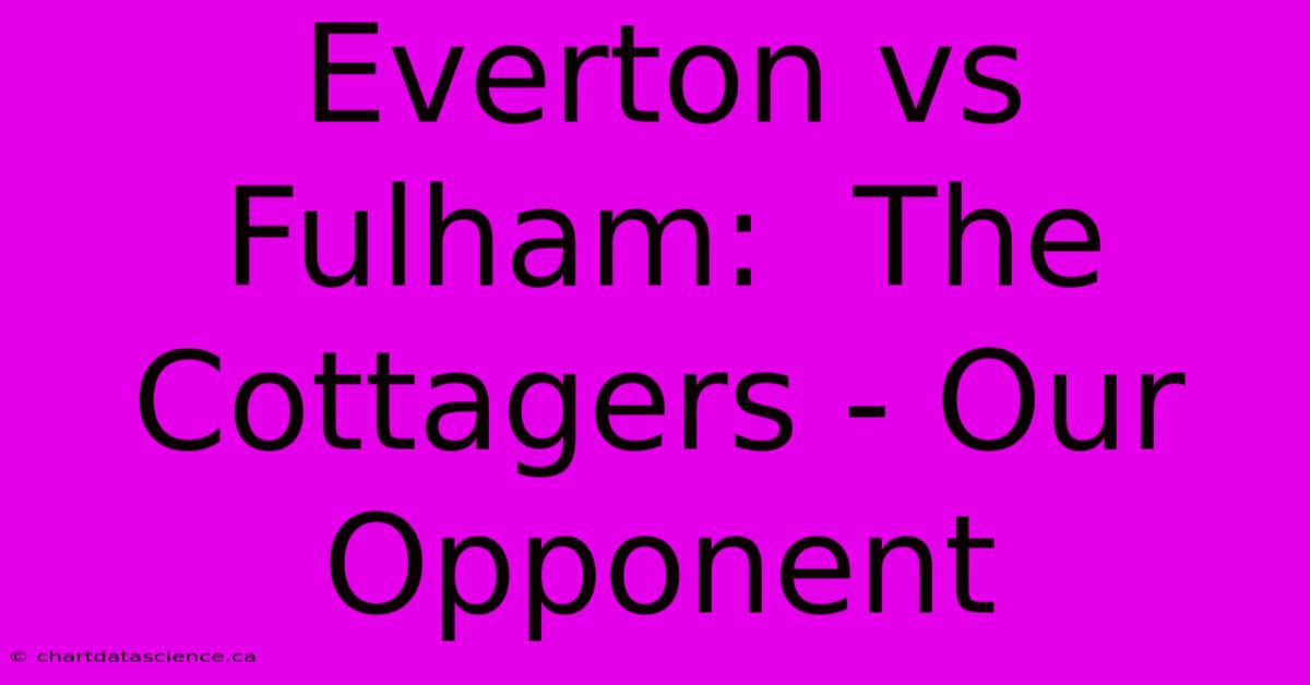 Everton Vs Fulham:  The Cottagers - Our Opponent