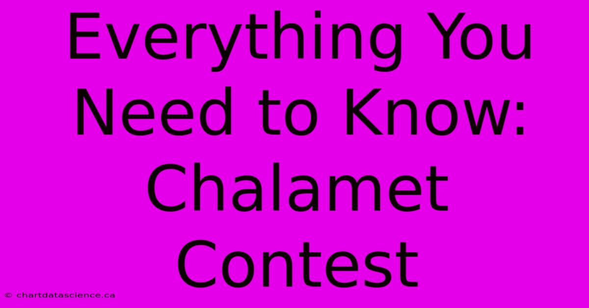 Everything You Need To Know: Chalamet Contest 