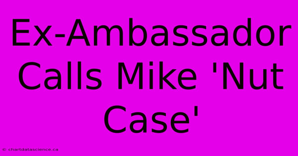 Ex-Ambassador Calls Mike 'Nut Case'