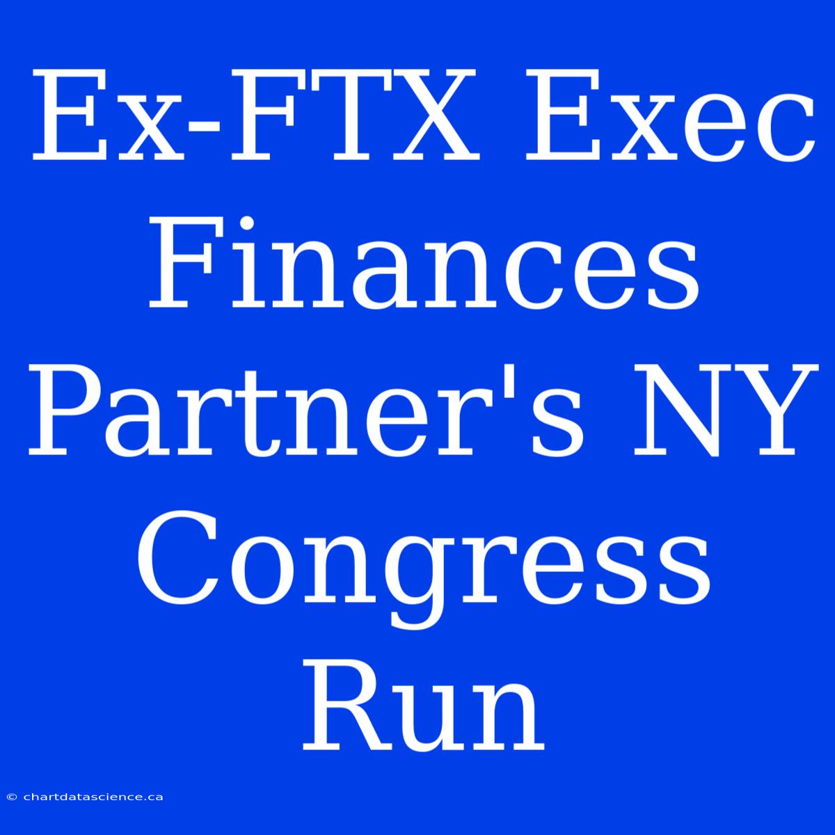 Ex-FTX Exec Finances Partner's NY Congress Run