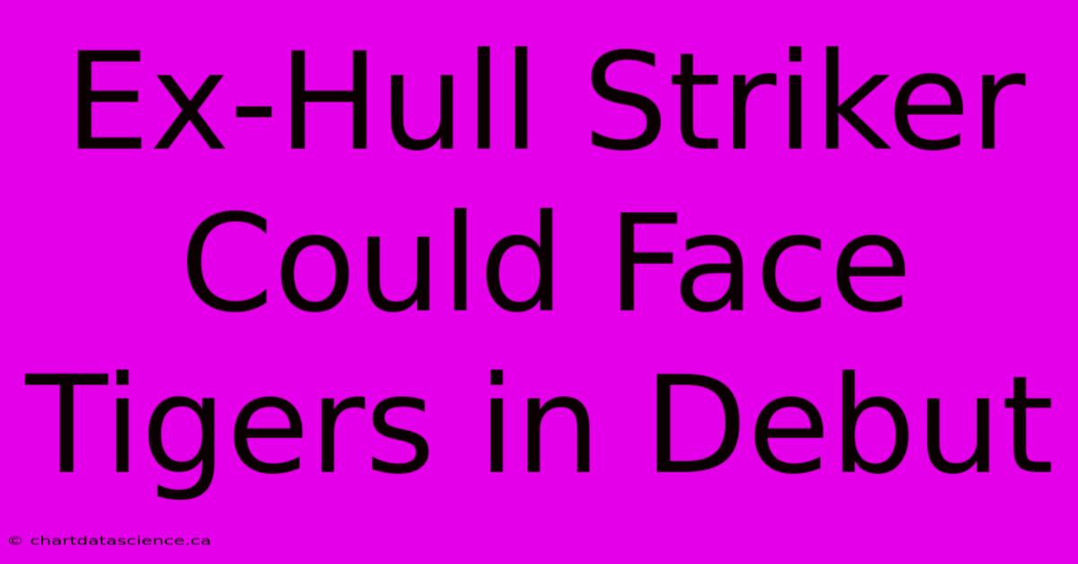 Ex-Hull Striker Could Face Tigers In Debut