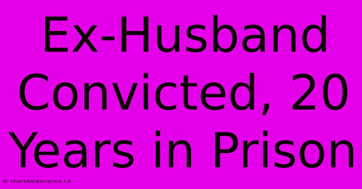 Ex-Husband Convicted, 20 Years In Prison