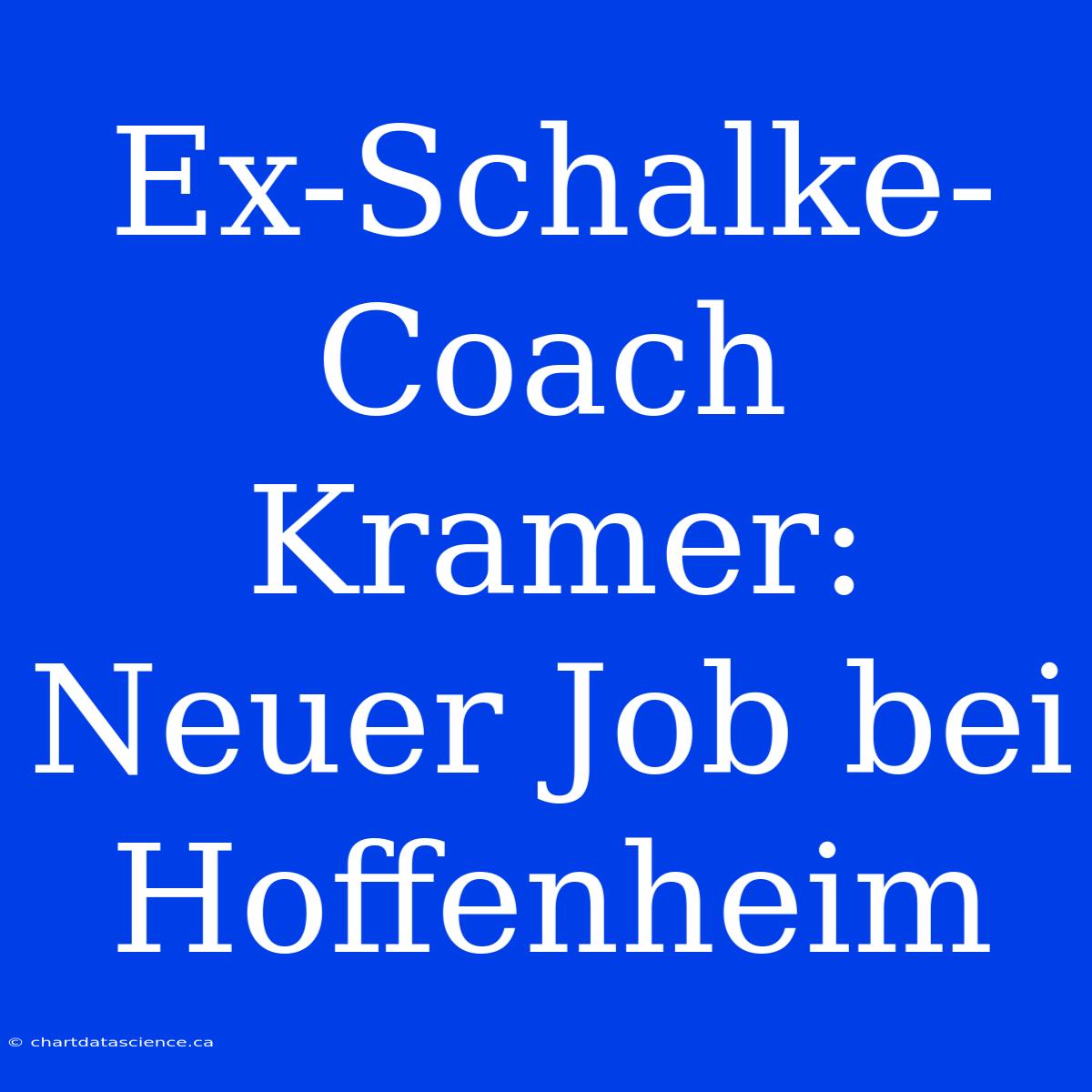 Ex-Schalke-Coach Kramer: Neuer Job Bei Hoffenheim