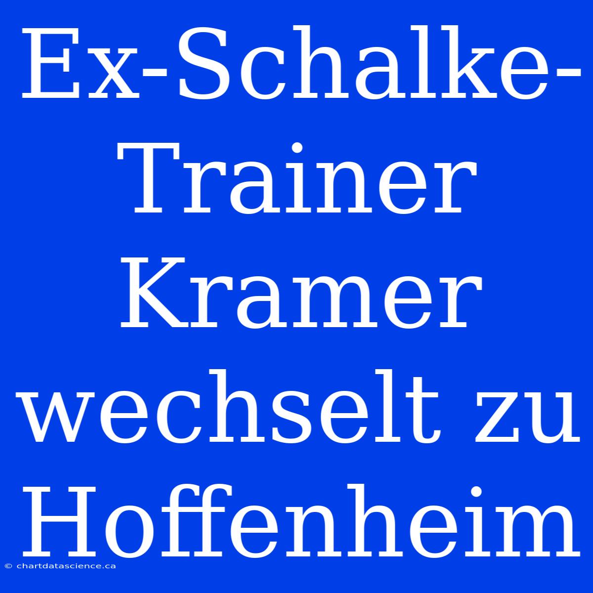 Ex-Schalke-Trainer Kramer Wechselt Zu Hoffenheim